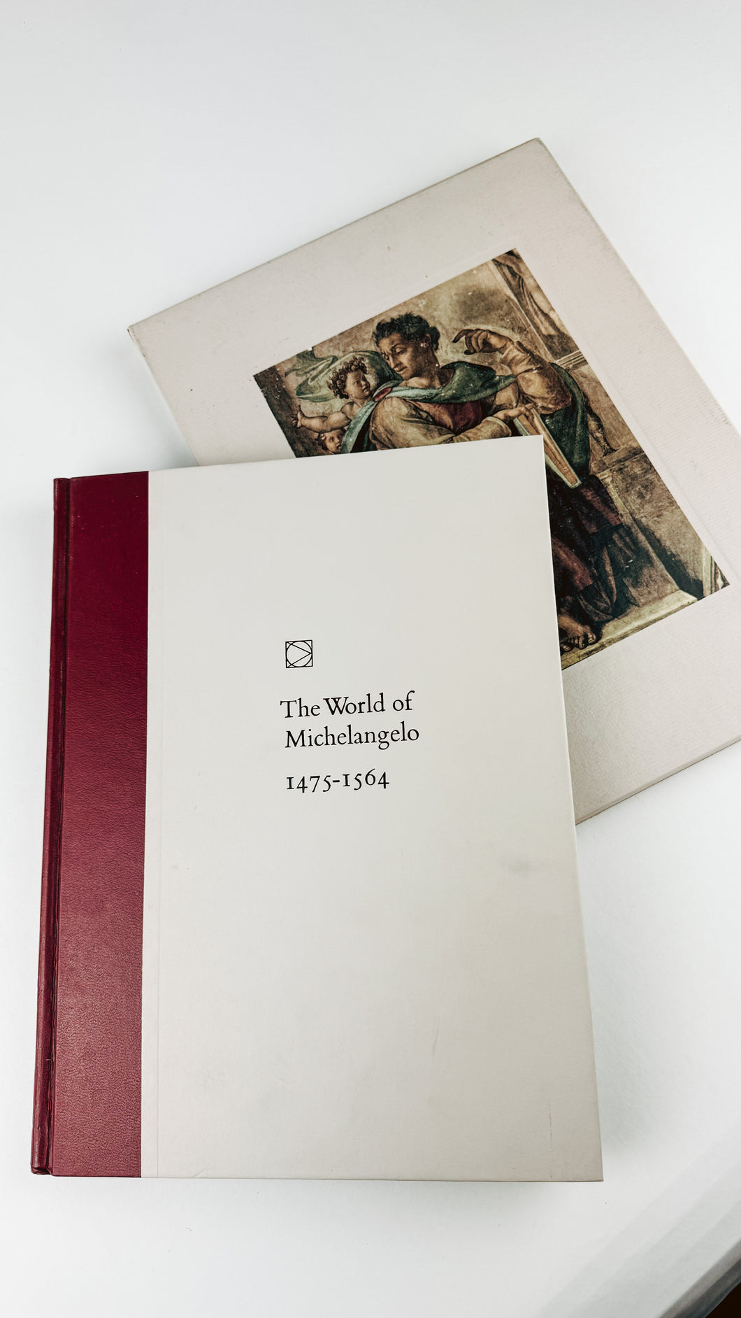 The world of Michelangelo