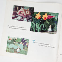 Load image into Gallery viewer, Alice in Wonderland Mini Book
